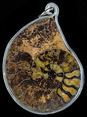 Moroccan Ammonite Fossil Pendant #58396